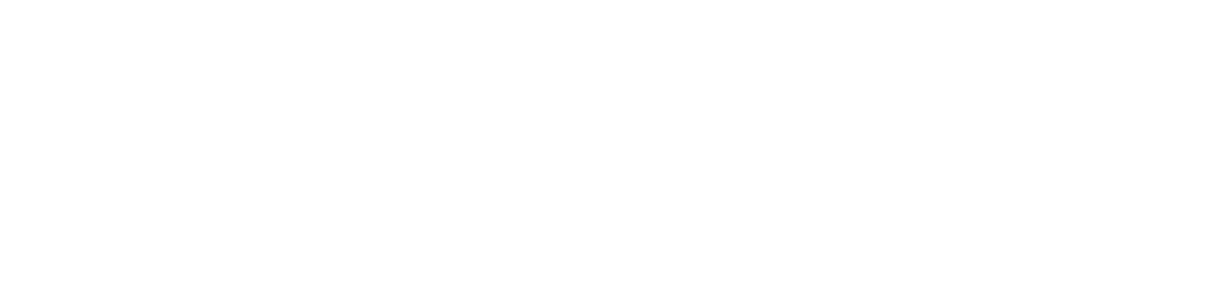 OneVision